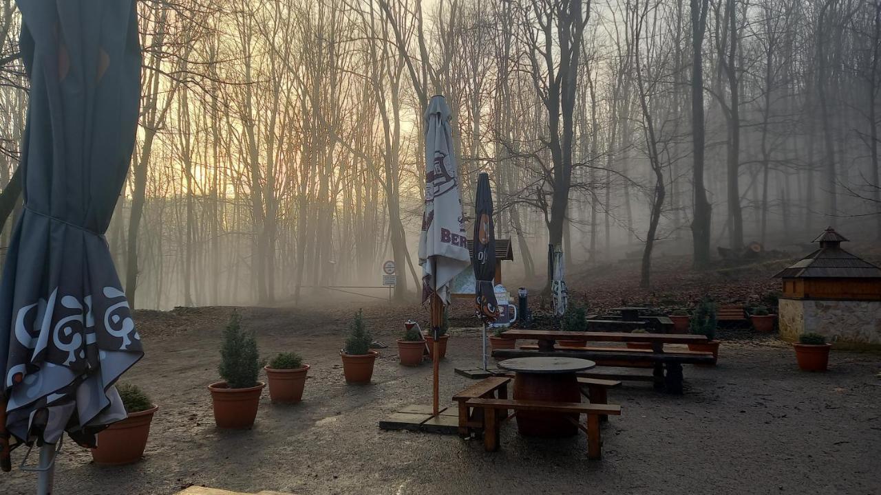 Chata Korenný vrch Pezinská Baba Pezinok Exterior foto